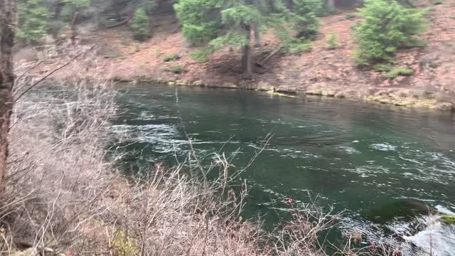 Exploring a Wild River – Metolius River – Central Oregon