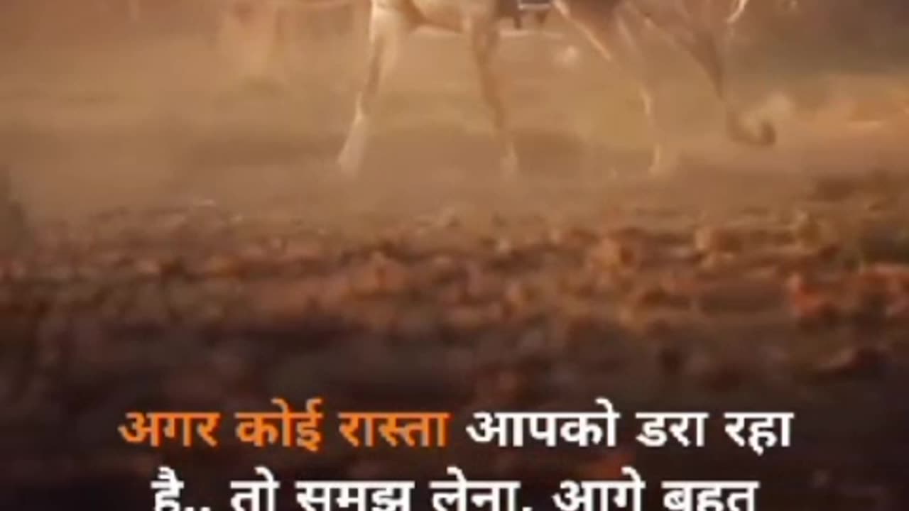 Best motivation video