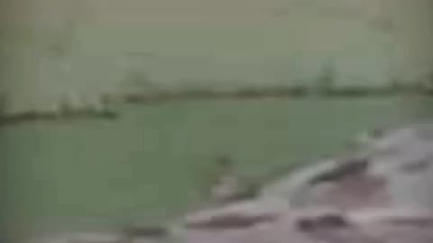 Short video