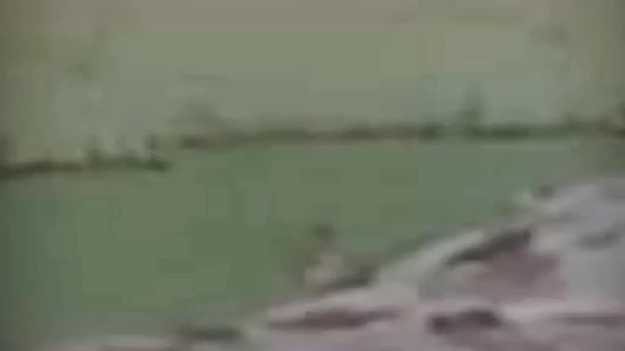 Short video