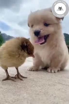 two little cute and adurable