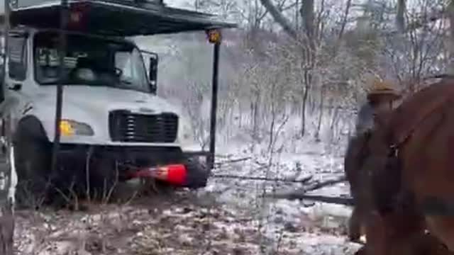 Two Horses Rescue a Truck By Pulling It Out Of Snow