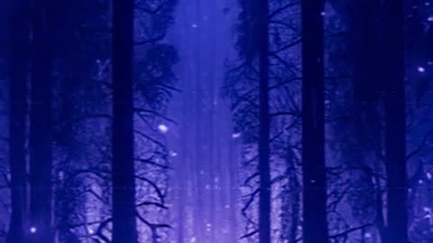 S.T.A.Y-Interstellar - Melancholic Melody, 1 Hour Magical Journey, Ambient Music