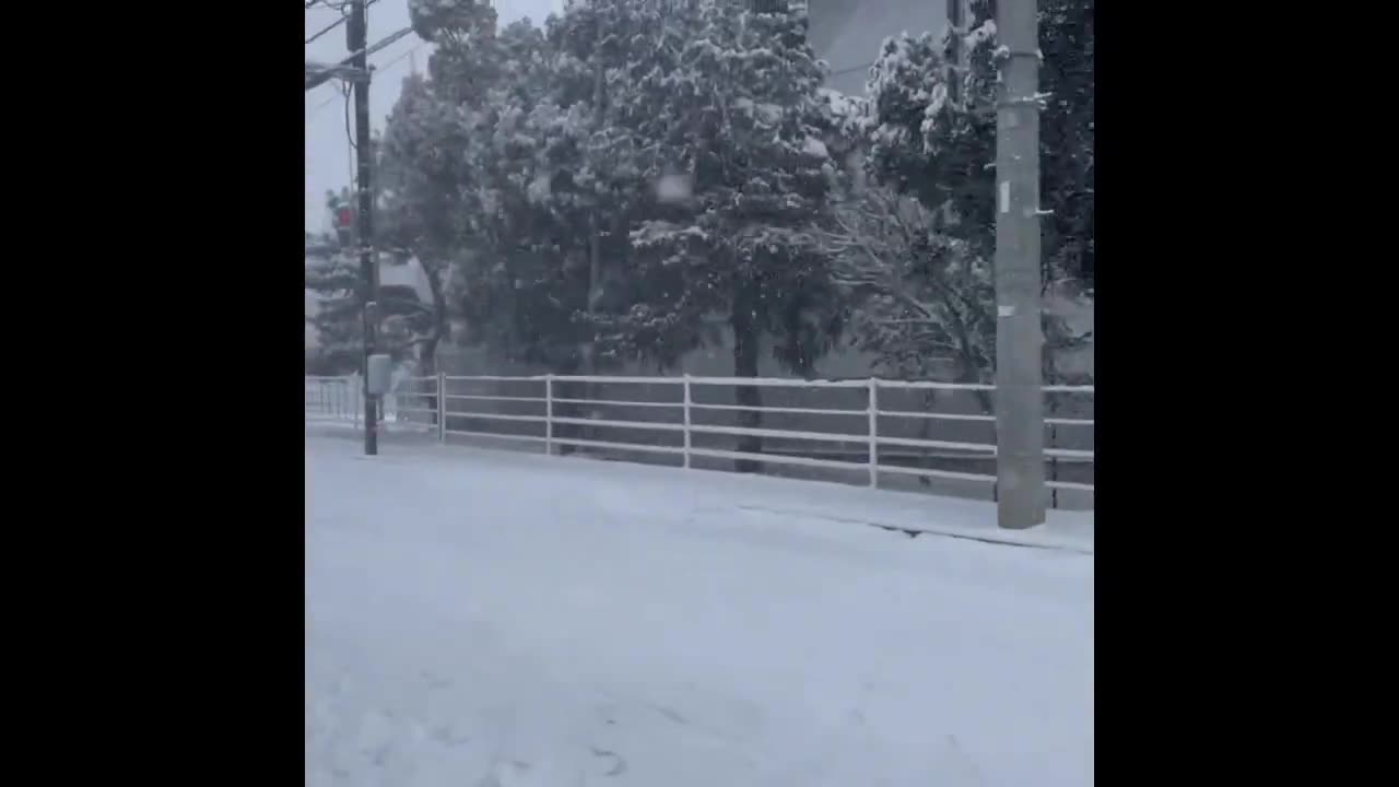 #Snowscape#WinterWonderland#SnowyScenes#SnowyDay#SnowyVibe#SnowMagic#SnowyAdventure#SnowyViews#Japan