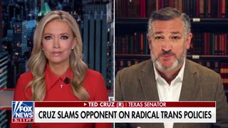 Sen. Ted Cruz: The Democrats are panicking