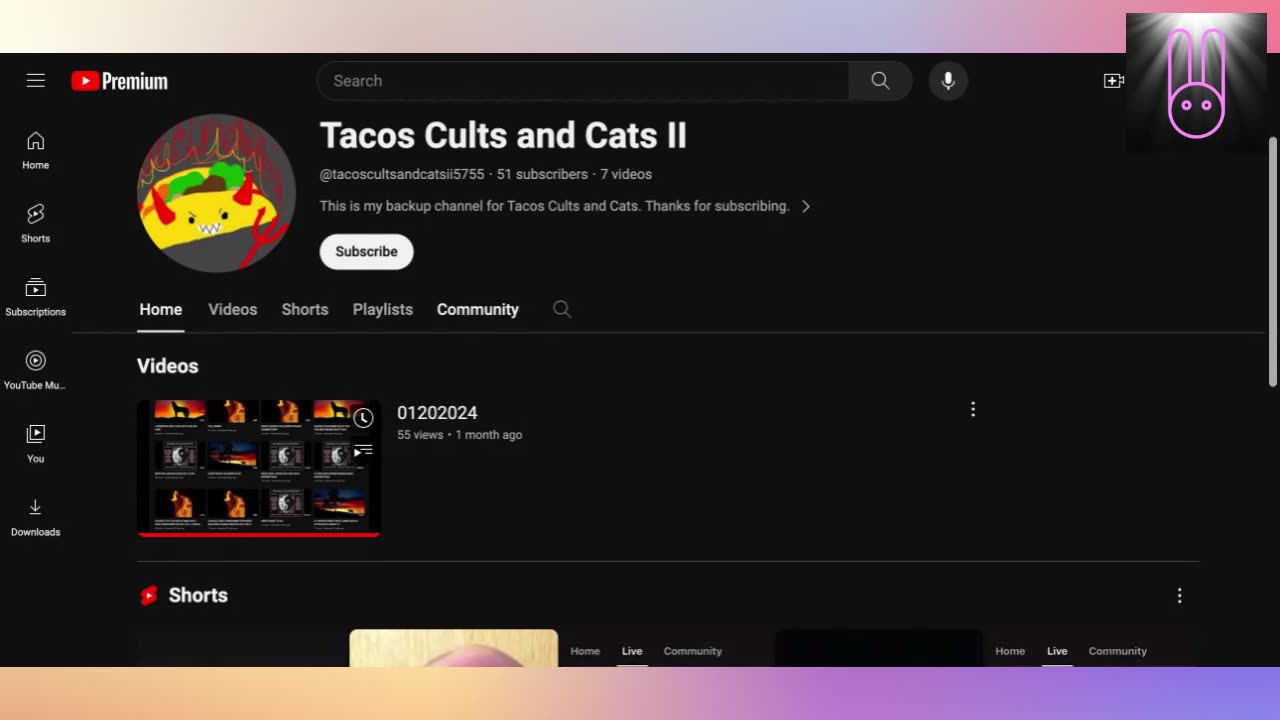 YouTube Copyright Infringement: @tacoscultsandcatsii5755