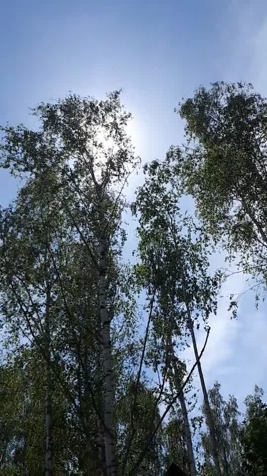 Himmel in Berlin am 17. Juni 2022 um 13:12 Uhr