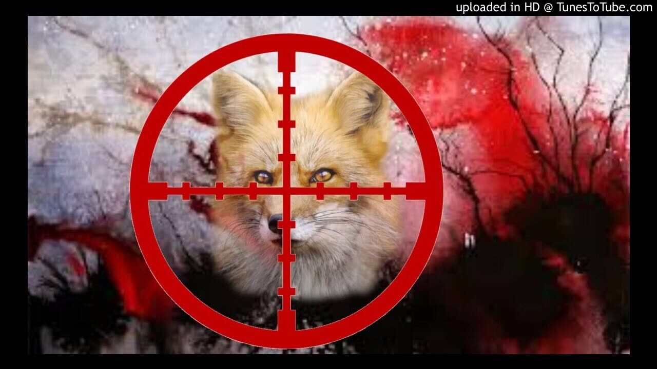 [Cyraxx Youtube 2020-2-5] Odd World Art - Foxx Hunt YOung Foxx Diss (Song)