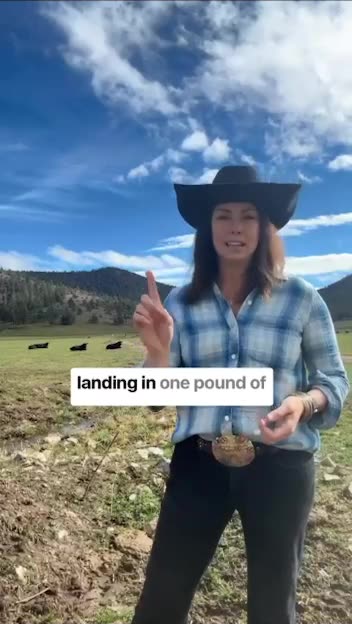 What's happening to the US meat industry?