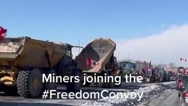 Miners joining the Canadian Freedom Convoy?