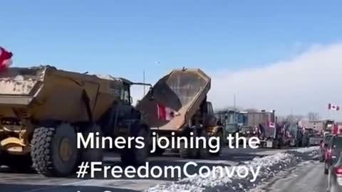 Miners joining the Canadian Freedom Convoy?