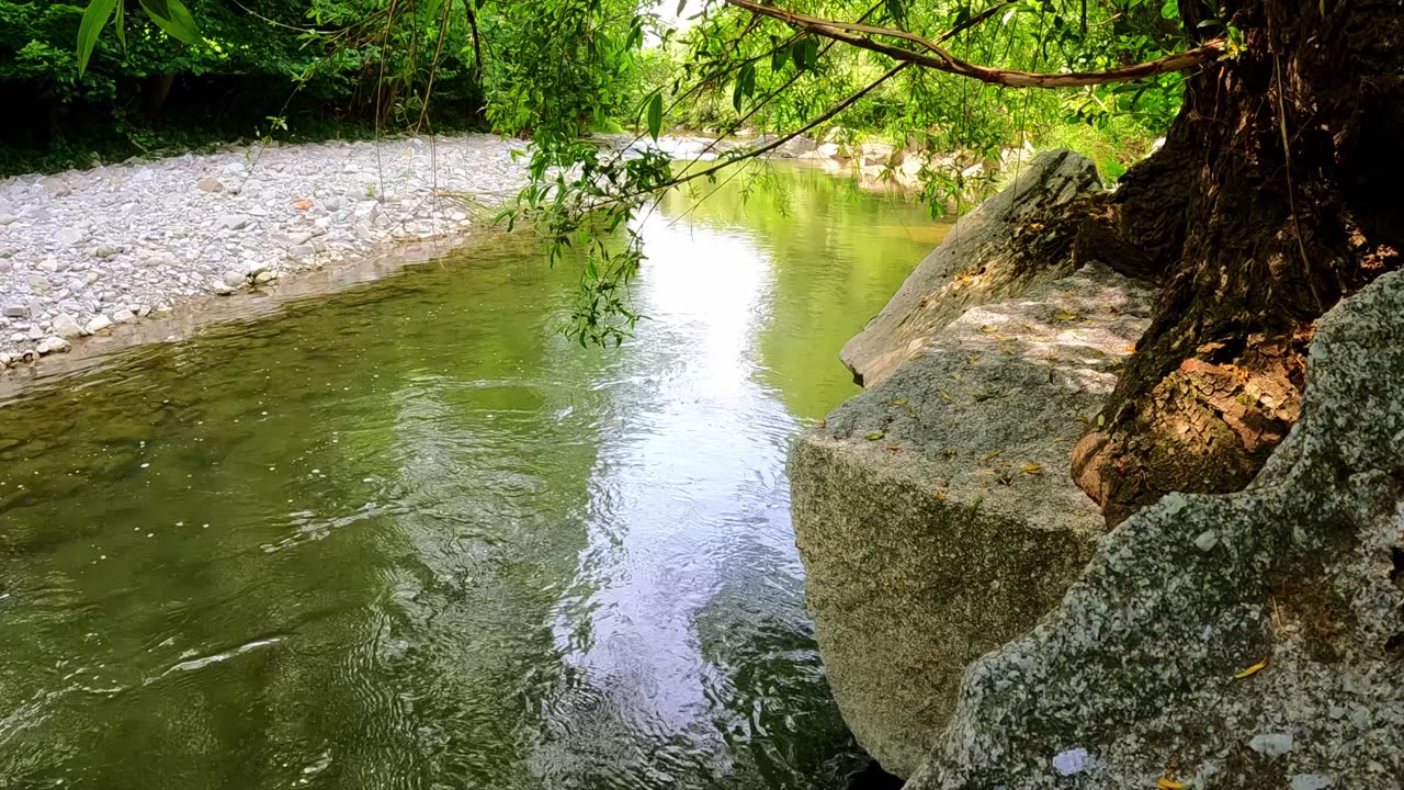 Soulchill | River Sounds | Healing Nature Meditation | Birds, Dragonflies and more | ASMR | 4K | 1h