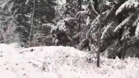 101 Year Old Plays In The Snow For The The First Time