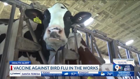 Moderna works on bird flu vaccine