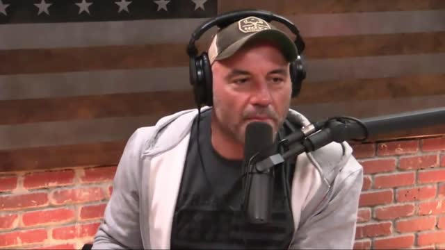 Joe Rogan - What I Like About Trump