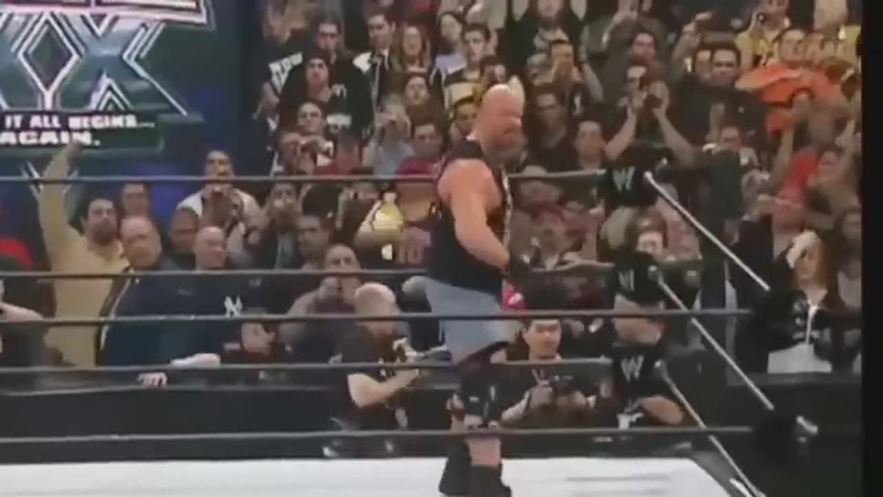 Gold Berg Vs Brock Lesnar