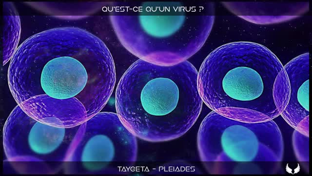 Qu'est ce qu'un Virus