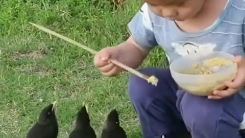 With baby playing birds Video