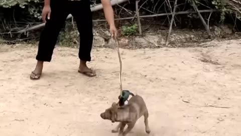Just for fun