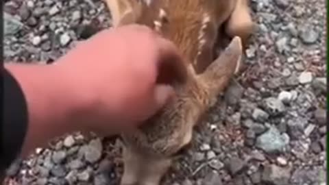 Thru all the chaos. Trust your heart!