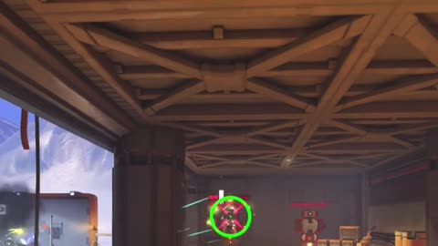 Perfect D.Va Cross hair settings