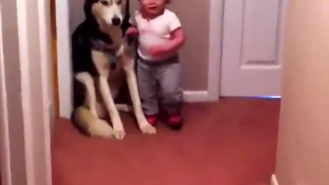 Dog and baby