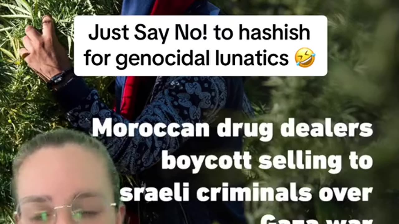 JUST SAY NO! TO HASHISH FOR GENOCIDAL LUNATICS