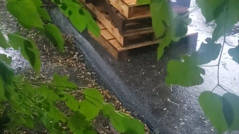 Keep stacking the pallets