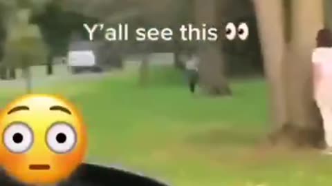Anyone able to tell me what this is from？ Is it a movie, a tv show maybe a commercial？ Was thinking