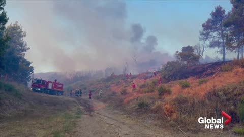 Spain wildfires: Firefighters struggle as wind reignites Bejis blaze in Valencia