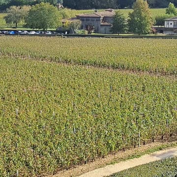 Château Smith Haut Lafitte Winery Tour Introduction Pt 2 #luxurylifestyle #winetasting #wine