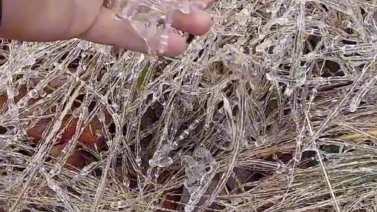who thought winter would be that satisfying