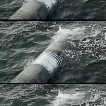 Watch Press Sec. Accidentally Introduce Nordstrom's New Fall Line #Shorts | DM CLIPS | RUBIN REPORT