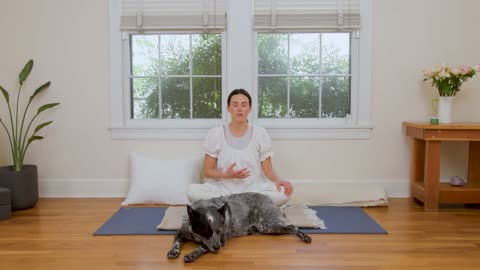 Yoga For Sick Recovery