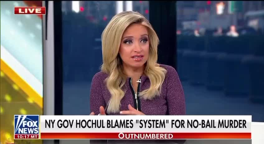 Kayleigh McEnany: Don’t Give me this Crap That it’s the System!