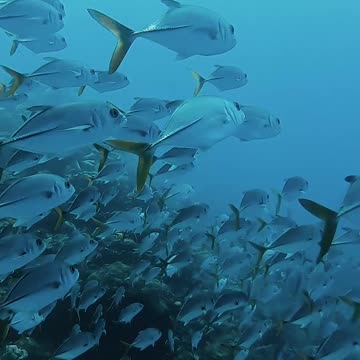 BEAUTIFUL OCEAN 😍