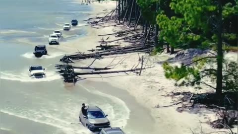 Carnival is going the way we like it, 11 trollers on the shore of the Duck Lagoon 🏝️ 💨💙