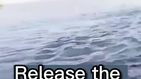 Smart to release it in the water like that