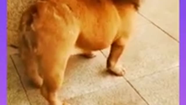 Short Fanny video