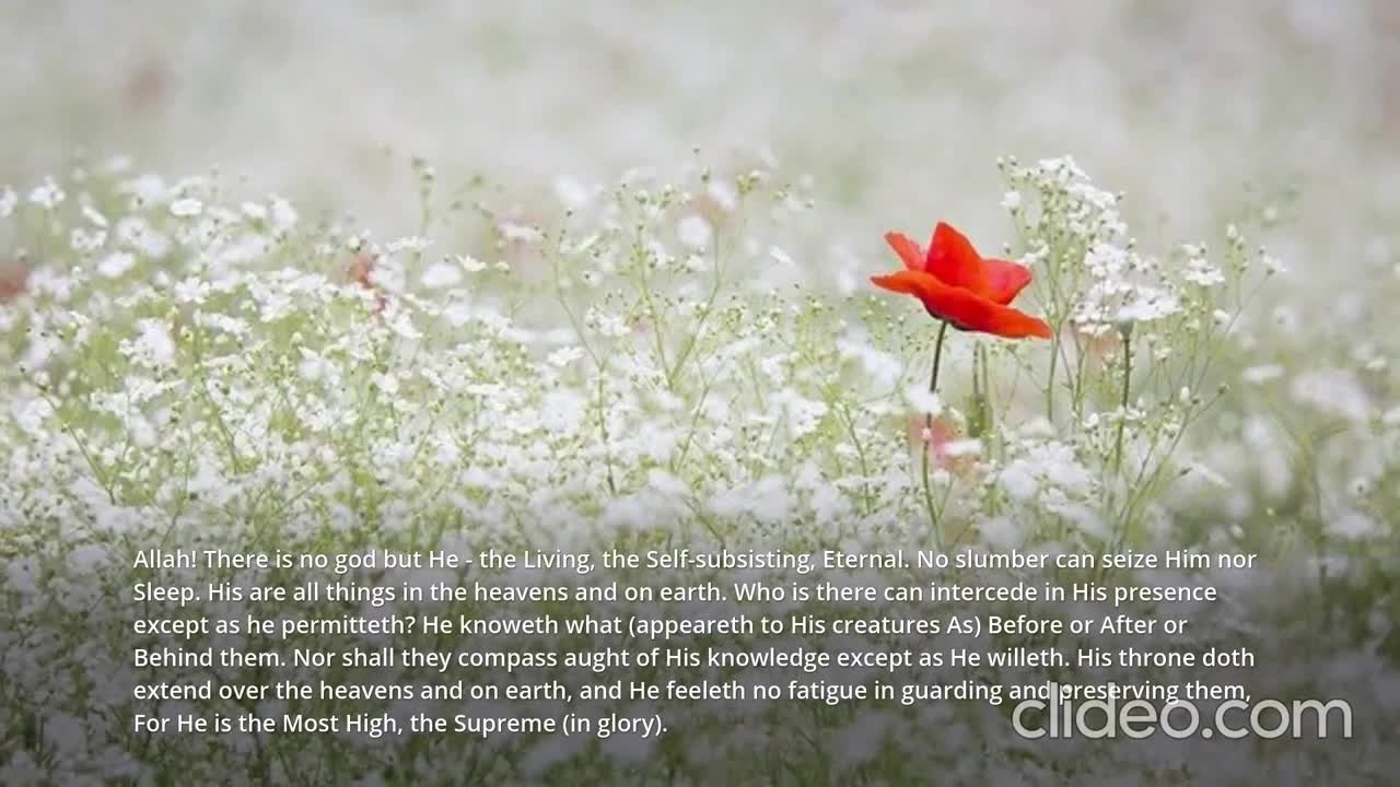AYATUL KURSI 168 TIMES ENGLISH TRANSLATION