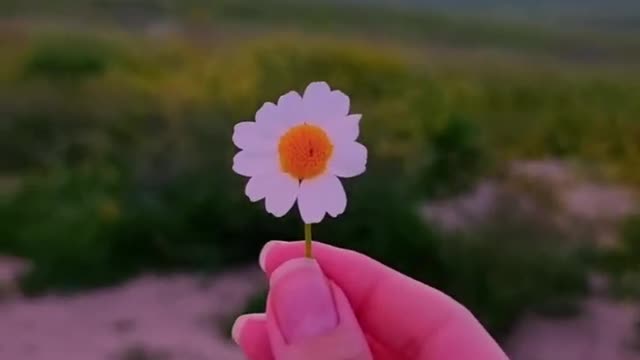 Nature beautiful scenery 🌅🌸 #shorts
