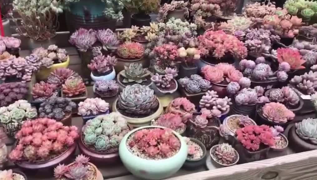 Do you want to have these