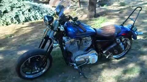 My 2016 883 Superlow with Springer front end