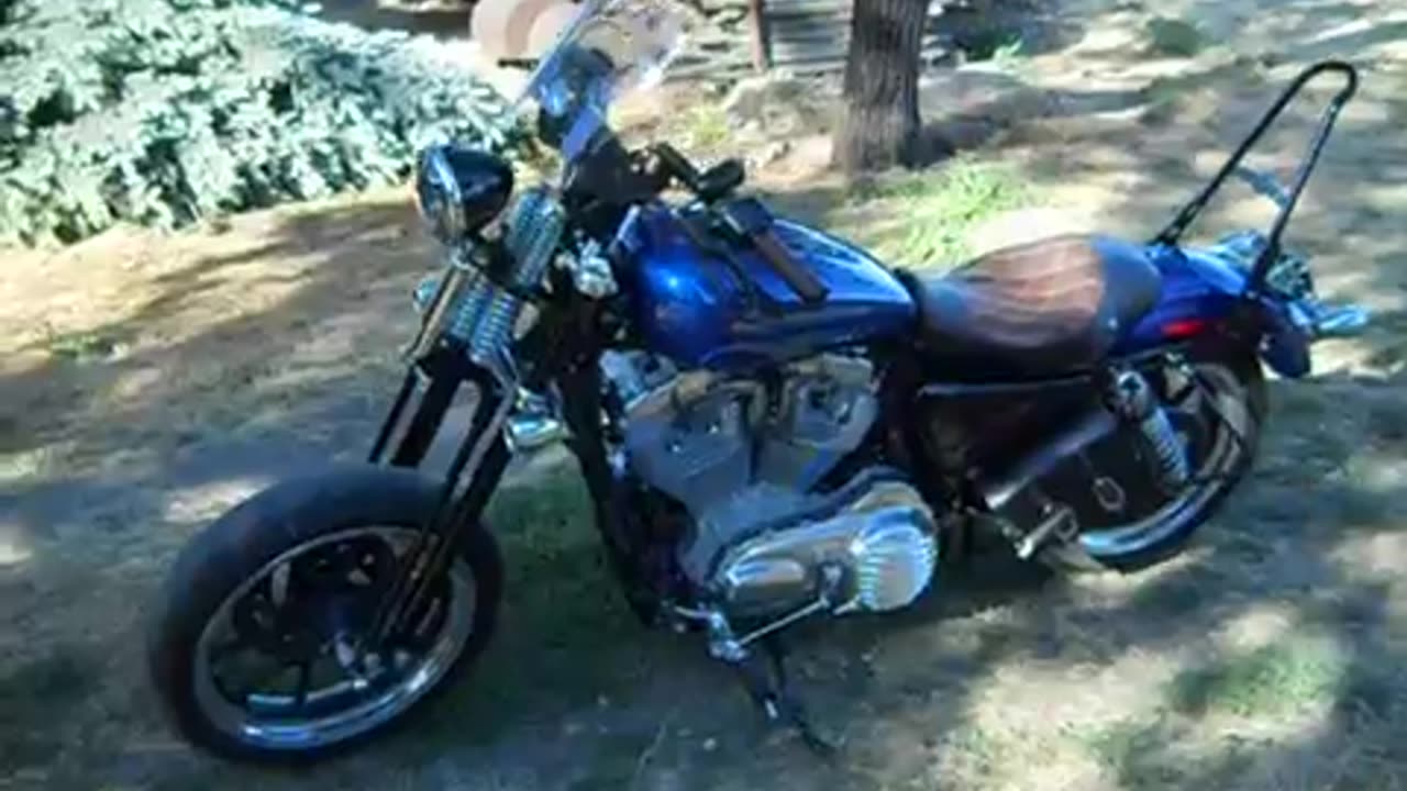 My 2016 883 Superlow with Springer front end