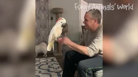 Funniest Dogs And Cats Videos 😅 - Best Funny Animal Videos 2023😇