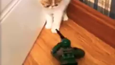 Aww cat is afraid of prank