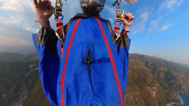 Wingsuit - cutaway