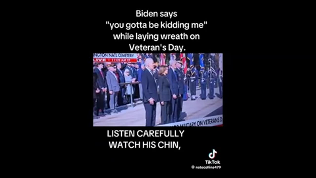 Fake Biden on Vets Day ..