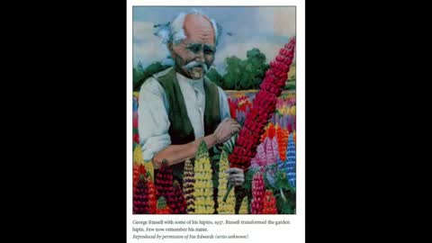 Flower Breeding 7 George Russell