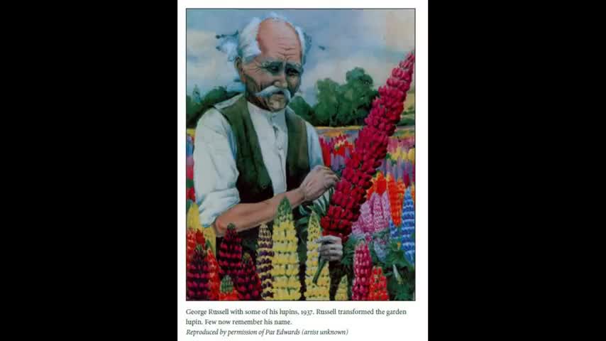Flower Breeding 7 George Russell